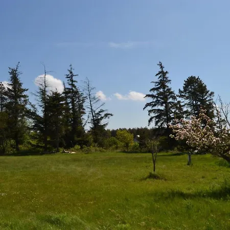 Botmund - 3-6km From The Sea In Western Jutland By Interhome Holiday home